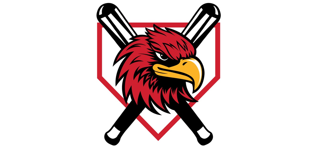 The Hawk